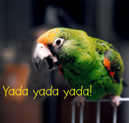 Wingnut, Lesser Jardines Parrot